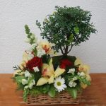 Arranjo floral com Bonsai