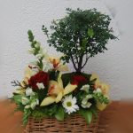 Arranjo floral com Bonsai