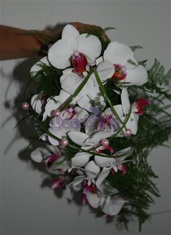 Ramo de noiva Orquidea Phalaenopsis