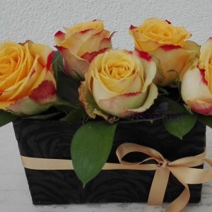 Caixa de rosas Amarelas Doceflor