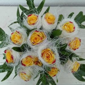 Ninho de rosas Amarelas